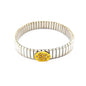 PULSEIRA ELASTICA DE ACO