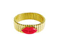 PULSEIRA ELASTICA DE ACO