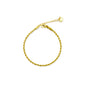 PULSEIRA DE ACO BASICO