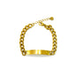 PULSEIRA DE ACO BASICO