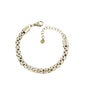 PULSEIRA DE ACO BASICO
