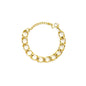 PULSEIRA DE ACO BASICO
