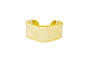 PULSEIRA ACO