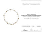 PULSEIRA DE AÇO COM PEDRA