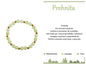 PULSEIRA DE AÇO COM PEDRA