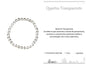 PULSEIRA DE ACO COM PEDRA