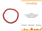 PULSEIRA DE ACO COM PEDRA