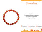 PULSEIRA DE AÇO COM PEDRA