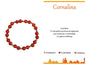 PULSEIRA DE AÇO COM PEDRA
