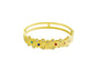PULSEIRA ACO