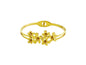 PULSEIRA ACO
