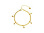 PULSEIRA ACO