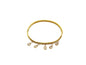 PULSEIRA DE AÇO