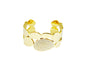 PULSEIRA DE AÇO