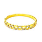 PULSEIRA ACO