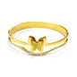 PULSEIRA ACO
