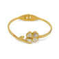 PULSEIRA ACO